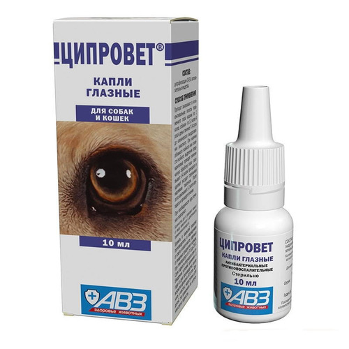 picaturi de ochi cu antibiotic și antiinflamator
