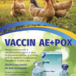 Вакцина Ae+Pox