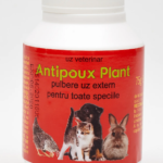 Antipoux Plant